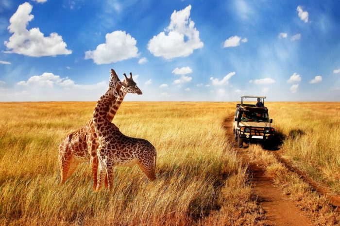Safari land tanzania safaris cruisers photographic Luxury Safari Tours