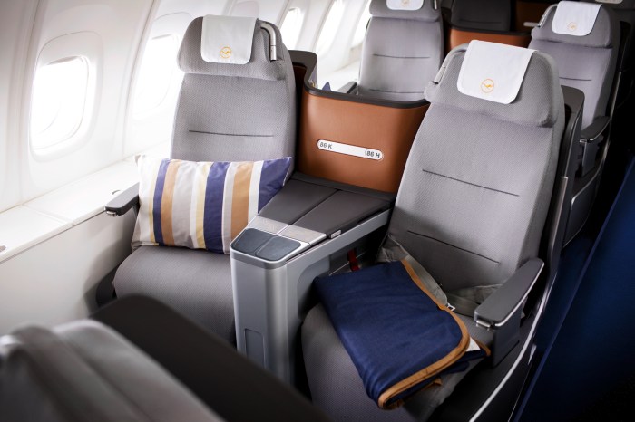 Premium Business Class Flight